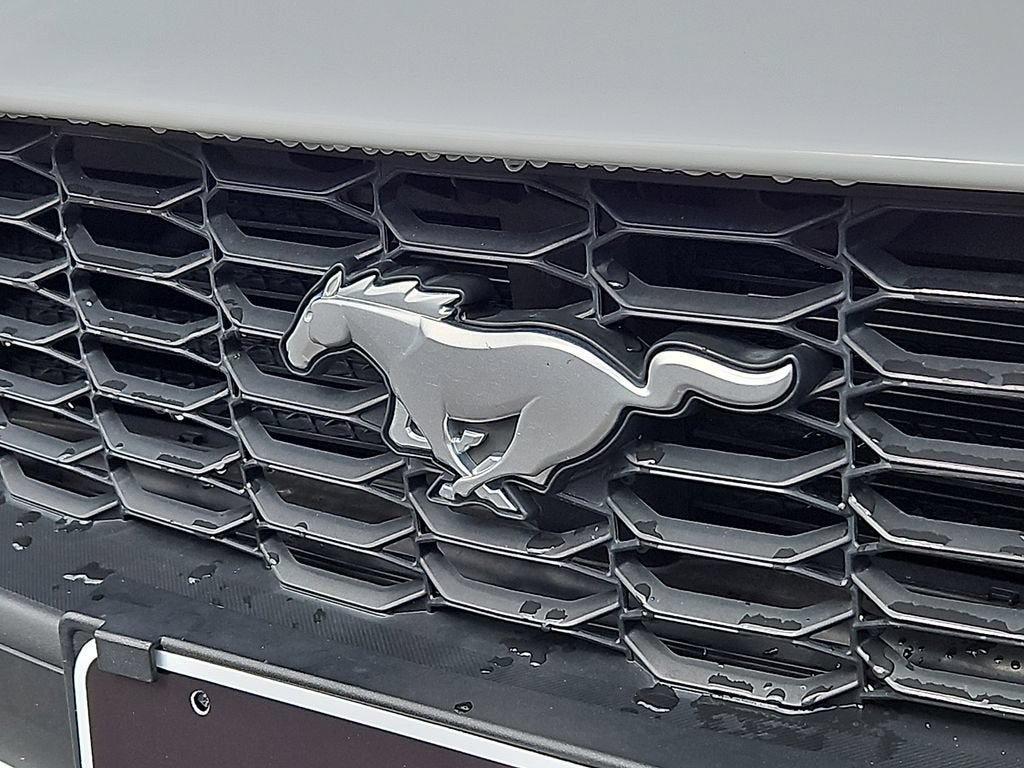 2024 Ford Mustang EcoBoost Fastback