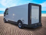 2025 Chevrolet BrightDrop 600 EJY