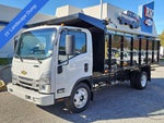 2025 Chevrolet Low Cab Forward 5500 HG NA