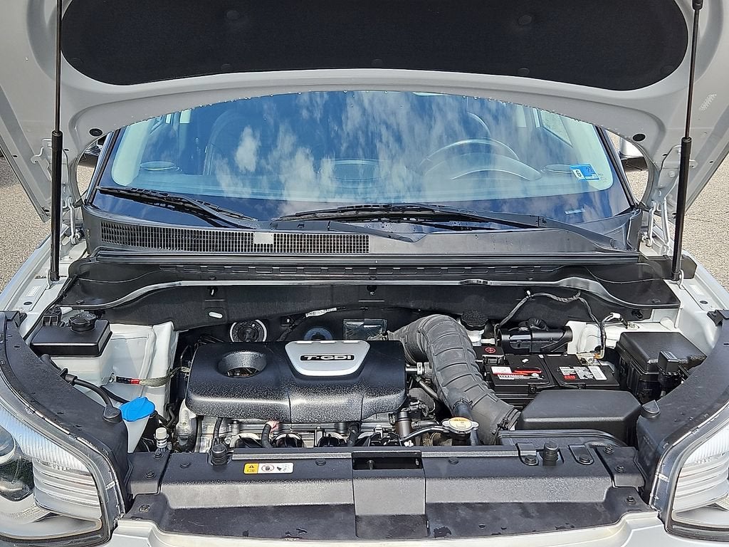 2019 Kia Soul !
